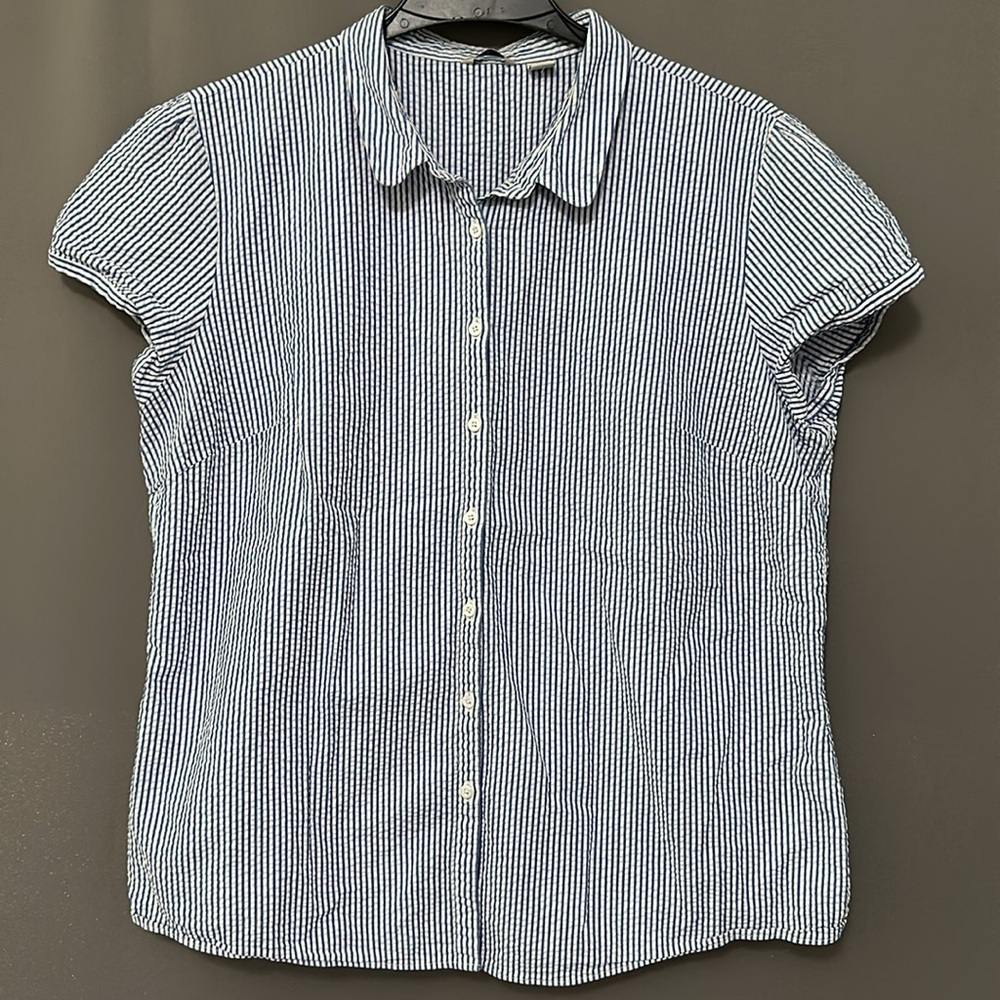 L.L. Bean Blue and White Striped Shirt
